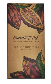 Tablette praliné noisettes chocolat au lait 38% mini faite-main